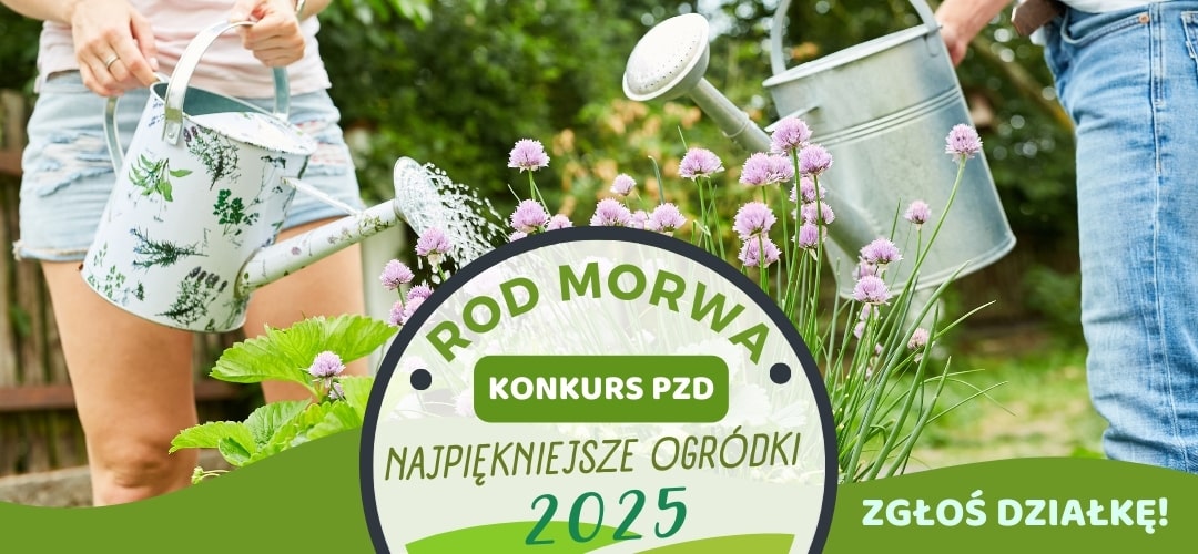 Konkurs Polskiego Związku Działkowców na najpiękniejsze działki ROD