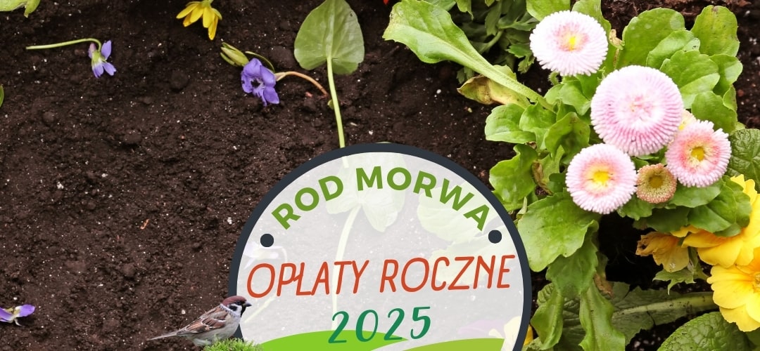 Opłaty za rok 2025