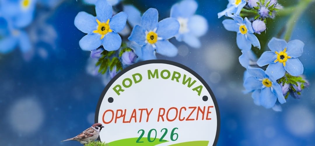 Opłaty roczne 2026