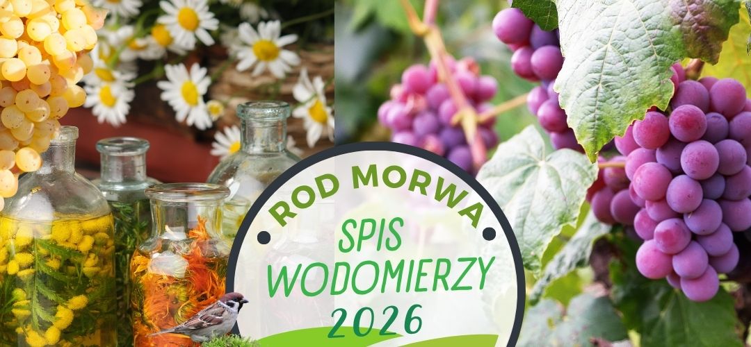 Spis licznik&oacute;w wody 2026